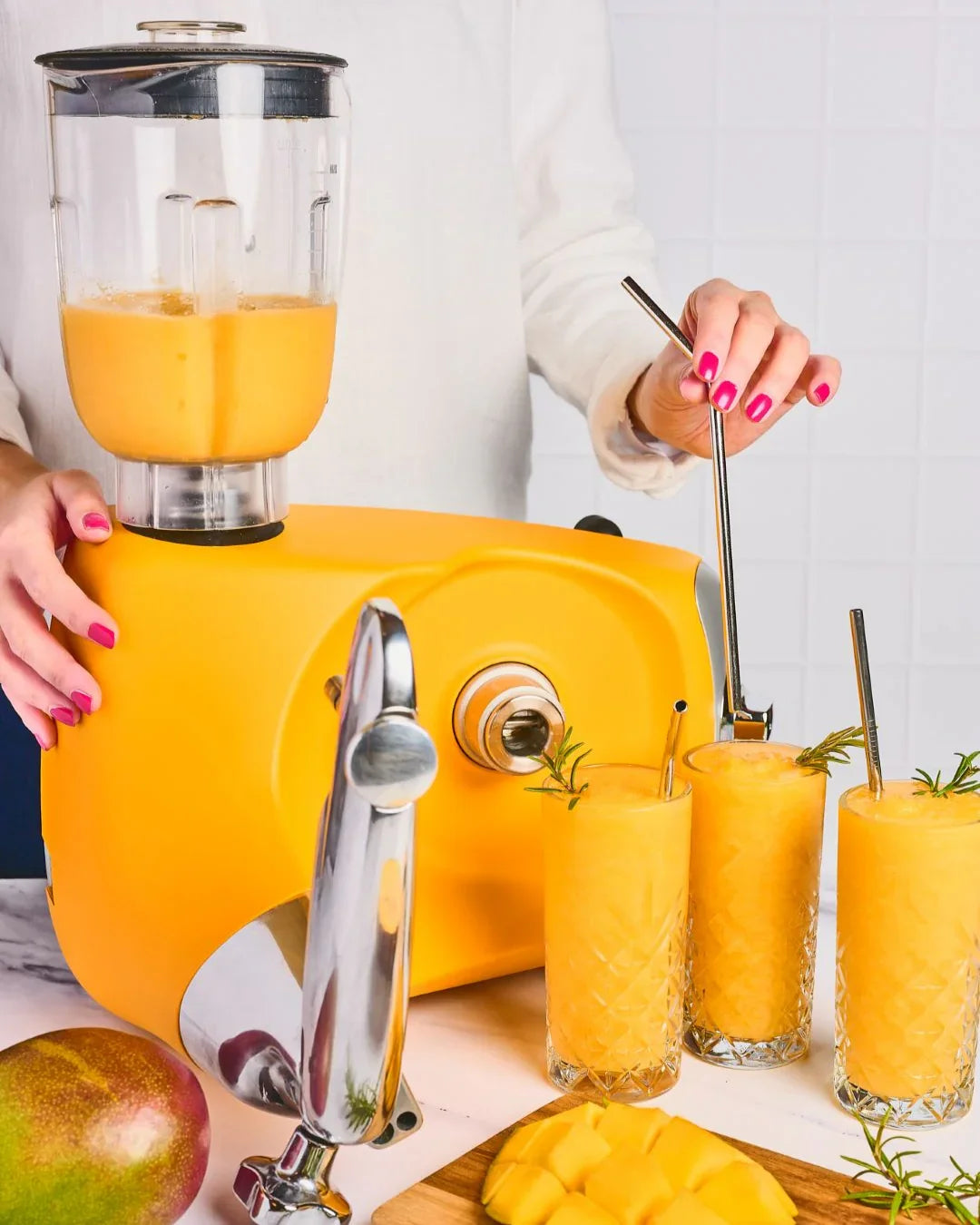 Blender mixeur adapté à tous les robots patissiers Original Assistent de la marque Ankarsrum