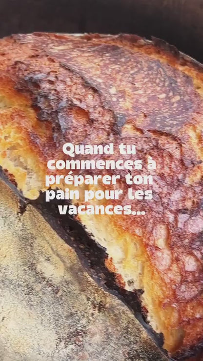 Chambre à levain Brod & Taylor